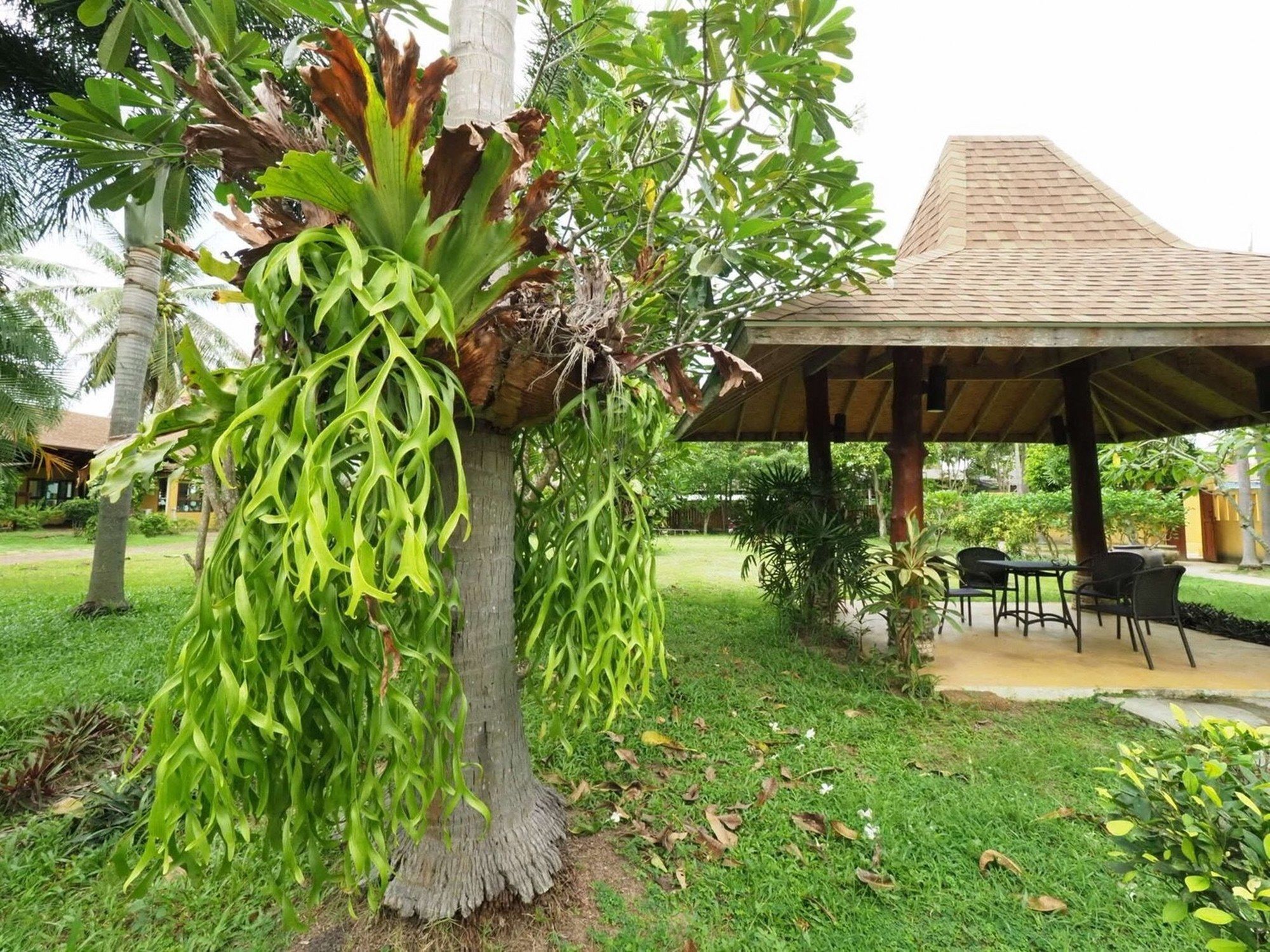 Keeree Waree Seaside Villa Бангсапхан Экстерьер фото